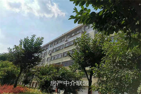 城西方圆美墅3室2厅2卫120.4m2毛坯房
